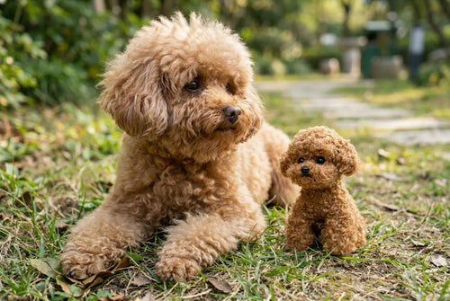 The Ultimate Buying Guide: Custom Pet Plush Toys from Photos (2026)