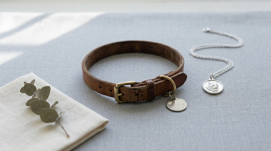 What to Do with Your Pet's Collar After They Pass: 10 Meaningful Keepsake Ideas